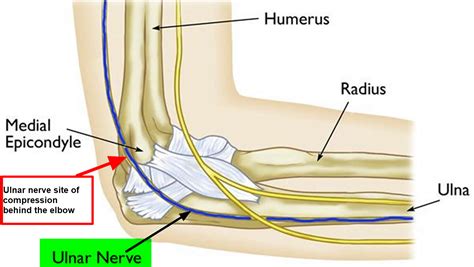 will ulnar nerve heal itself